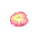 Chouchou Mat Rad Rose Citrine