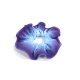 Chouchou Mat Rad Strass Violet bleu polaire