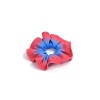Chouchou Mat Rad Ciel fuchsia