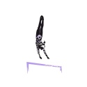Sticker - BARS & FLY